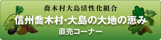 �n���������x�� �M�B���ؑ��E�哇�̑�n�̌b�� �����R�[�i�[